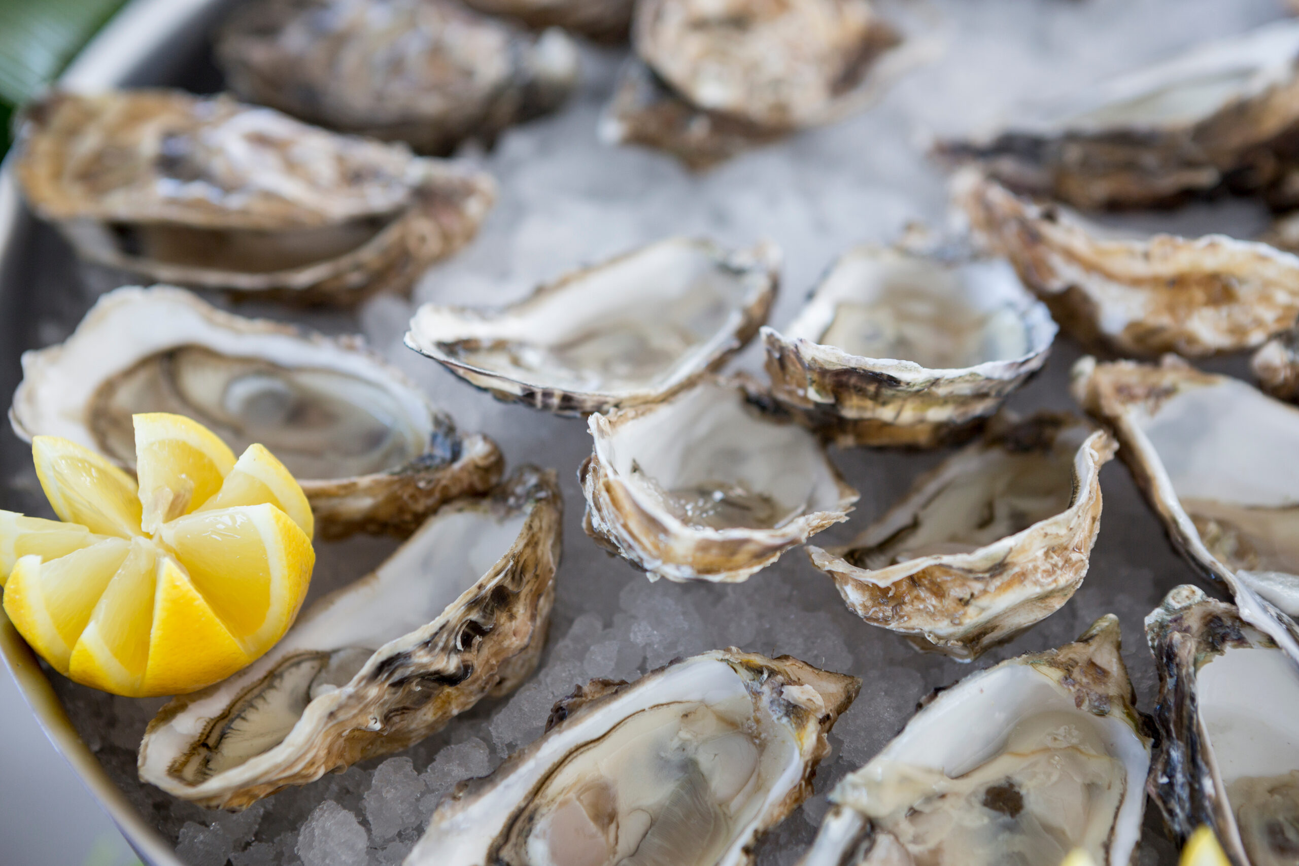 Gastronomia Uniworld