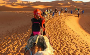 passeio de camelos no marrocos